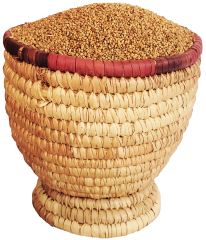 Destoned Millet grains
