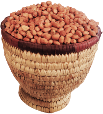 500g Cleaned Groundnut Seeds