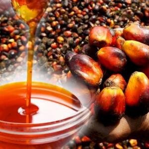 Pure Red Palm Oil
